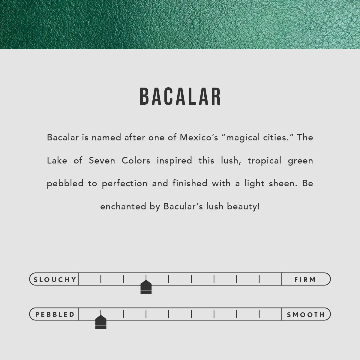 Leather Tote Bag